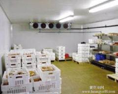深耕冷鏈科技，守護海鮮鮮活——大連生鮮冷庫安裝·維修·銷售·電子設備工程一站式服務
